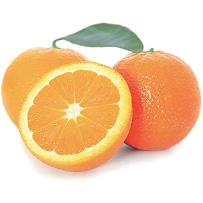 Beessential (470ML, ORANGE) - ALL NATURAL FOAMING HAND SOAP, ORANGE OILS, MADE WITH MOISTURISING ALOE & HONEY - MADE IN THE USA, 470ML - Image 3